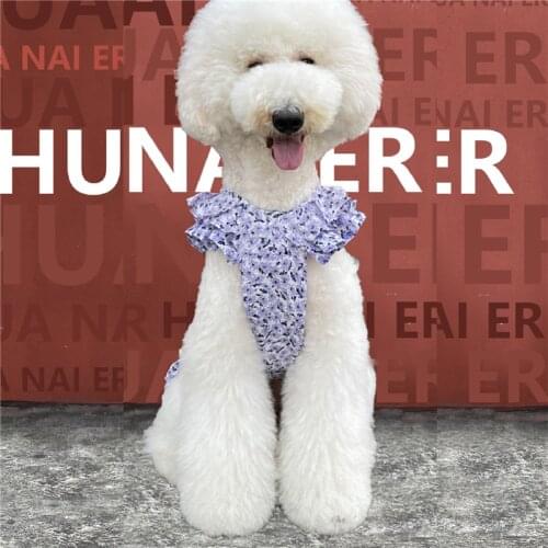 Pet Products Ginat Dog Clothes Fashion Dress Poodle Summer