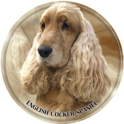 S40330# 13CM PVC Decal English Cocker Spaniel Car Sticker Waterproof For Bumper Rear Window Laptop Refrigerator Toilet