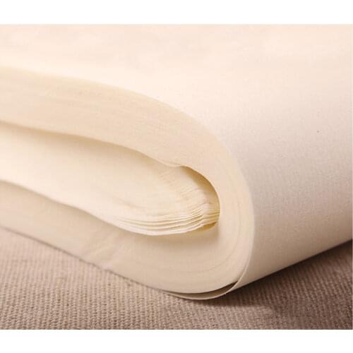 Half raw rice paper for calligraphy practice watercolor painting raw paper 46x68cm