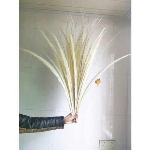 50 pieces of high quality white natural pheasant feathers 88-100cm long, DIY accessories decorative accessories