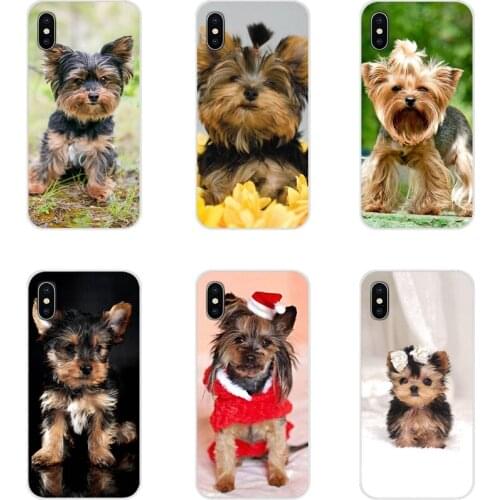 For Huawei G7 G8 P7 P8 P9 P10 P20 P30 Lite Mini Pro P Smart Plus 2017 2018 2019 yorkshire terrier dog puppy Accessories Bag Case