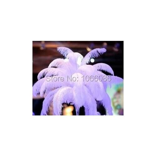 EMS Free Shipping! 50pcs/lot 55-60cm 22-24" Top quality White ostrich feathers ostrich plumages plumes