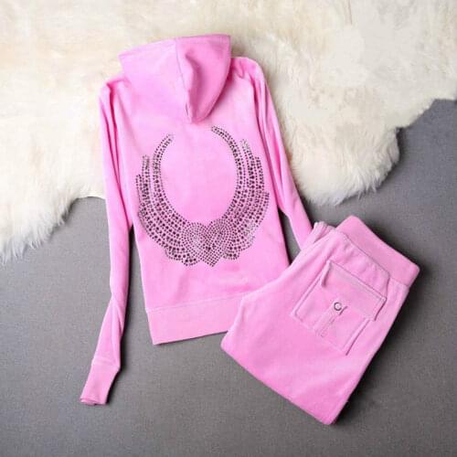 Brand Velvet WomenS Fabric Tracksuits Velour Suit Women Track Suit Hoodies And Pants S-XXXL