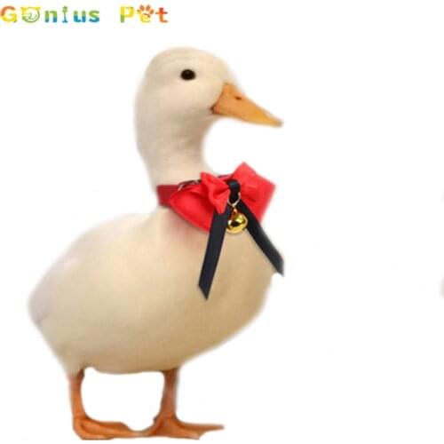 Товары для сельхоз животных Gonius Pet China At AliExpress