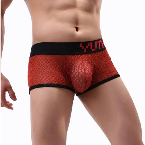 Mens Underwear Boxer Men Breathable Mesh Mens Boxers Male Underpants Sexy Panties Cotton Mens See Through U Pouch Trunks Pant