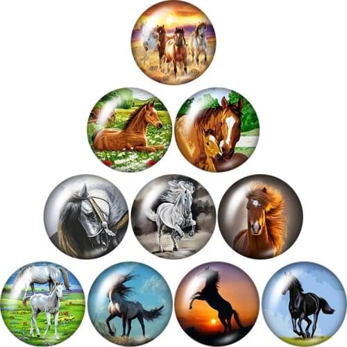 New Steed Horse painting styles fashion 10pcs 12mm/18mm/20mm/25mm Round photo glass cabochon demo flat back Making findings