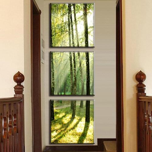 DIY Diamond Painting Full Square/Round Drill 5D Diamond Embroidery 3pcs/Set Modern Canvas Wall Paintings Sunshine on the Trees