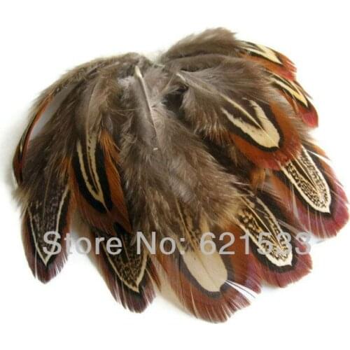 100Pcs/Lot 2-3 inches 5-7cm NATURAL ALMOND Ringneck Pheasant Plumage Feathers,Ringneck Pheasant small feathers
