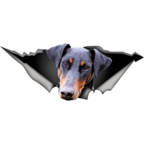 Interesting Car Sticker Accessories 3D Doberman Wild Animal Decal Car Window Waterproof PVC 13cm X 5cm
