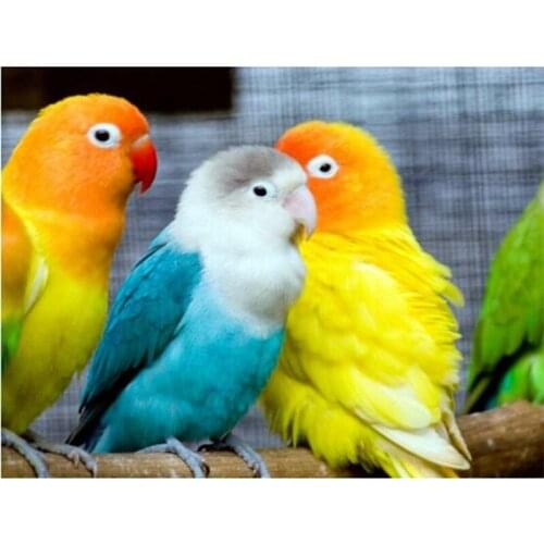 Diy 5D Diamond Embroidery parrots Diamond Mosaic Picture round Diamond Painting Cross Stitch Kit Needlework Christmas gift