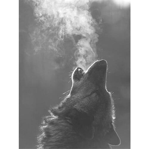 Wolf Cartoon Animal Printed Canvas 11CT Cross Stitch DIY Embroidery Kit DMC Threads Knitting Hobby Sewing Painting Wholesale