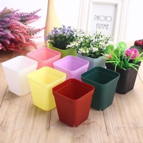 Square Bonsai Planter Plastic Square Pots Garden Flower Pot for Succulent Plants Nursery Garden Candy Colors Desk Home Decor