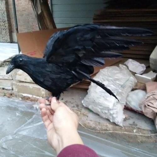 New black simulation crow toy plastic & furs wings crow model doll gift about 30cm 1227