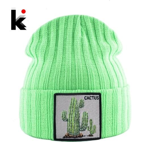 Winter Beanies Hat Woman New Knitted Solid Skullies Beanie Men Casual Bonnet Caps With Cactus Patch Streetwear Gorras Warm Hats