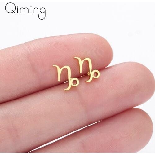 New Capricorn Gold Earrings Female Women Male new Jewelry new Birthday Gifts Constellations Minimal Earring For Girls