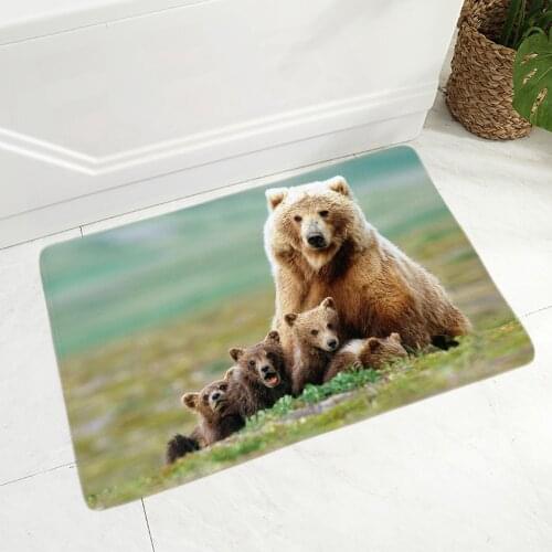 Cute Wild Bear Doormat for Hallway Decor Lovely Animal Floor Door Mat for Children Room Non-Slip Super Soft Flannel Rug 40x60cm