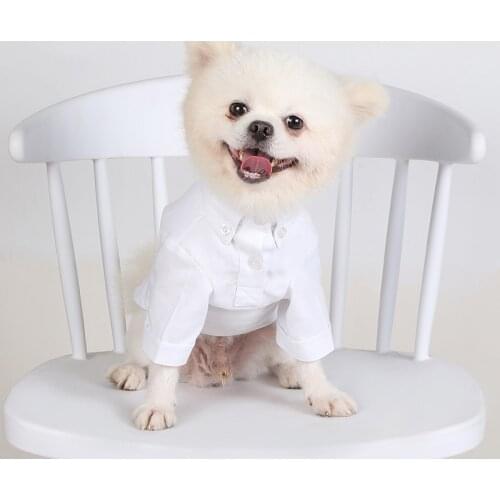 Dog Hoodie pomeranian puppy clothes Cotton yorkshire terrier