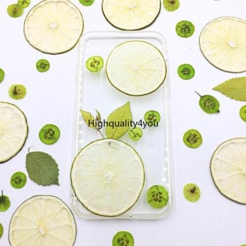10pcs Dried Pressed 3-5cm Green Lemon Slices Plant Herbarium For Jewelry Photo Frame Phone Case Bookmark Postcard Making DIY