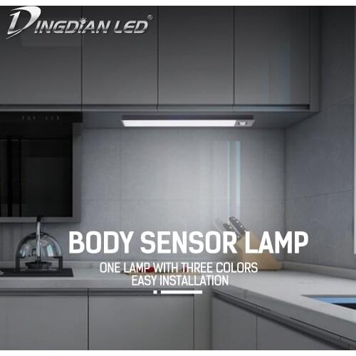 USB Rechargeable Motion Sensor LED Wardrobe Light Strong Magnetic Night Light Body Sensor DC5V Desk Lamp White/Warm White 2W/3W