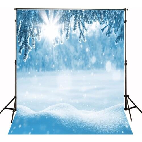 VinylBDS Photo Backgrounds Frozen Thick Snow Winter Sun Fond Photographie Cedar Photography Backdrops for Children Photo Studio]