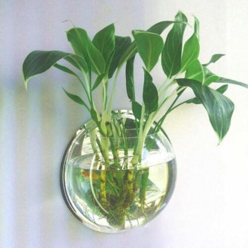 Transparent Acrylic Hanging Wall Mounted Fish Tank Fish Bowl Vase Aquarium Flower Plant Vase Home Decoration Ornament