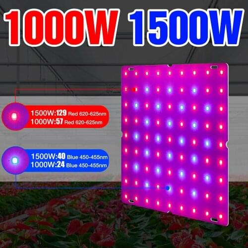 QNBDG Professional Lighting