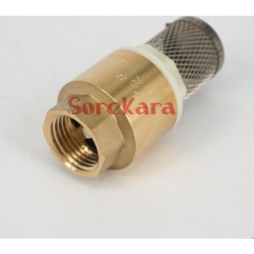 1-1/4" BSP Female Brass Spring Check Valve With Strainer Filter 1.6Mp