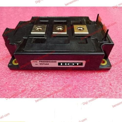PM600DSA060