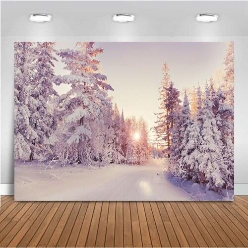 Photography background winter view backdrop for photo shoot studio white forest backdrop Ice and snow backgrounds for photo