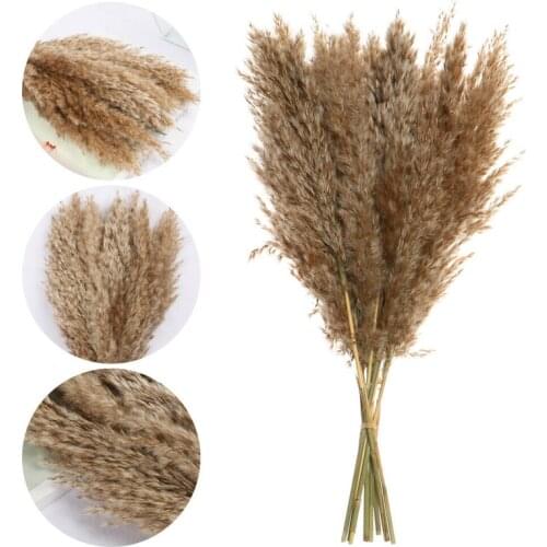 10pcs Natural Dried Pampas Grass Artificial Para Reed Flowers Bunch Wedding Bouquet Decor Real Plants Home Decoration 4Colors