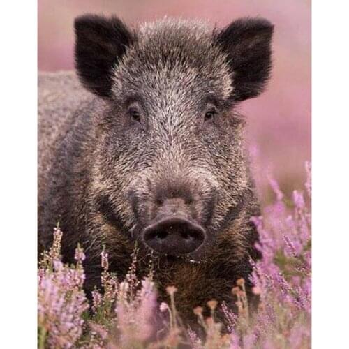 5D DIY Full Diamond Painting Drill Kits Embroidery Art Cross Stitch Pink Bird Relieve Stress Leisure Home Accessories Gifts