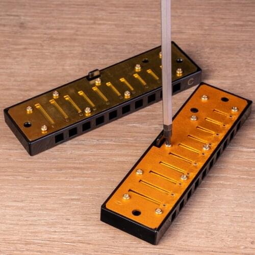 Portable 10-Hole Diatonic Blues Harmonica Key of C D G 3 Tone