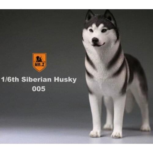 1/6 Scale Mr.Z Husky Siberian Husky Simulation Animal Dog Model Toy For 12' Action figure accessory Home Car Decoration