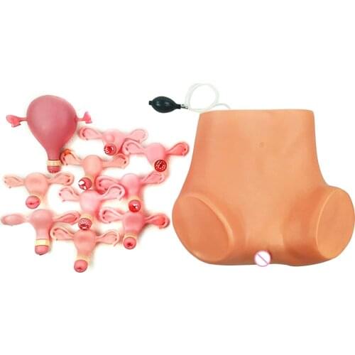 Gynecological Examination Model Female Genital Model Advanced Gynecology Model Gynecology Training Model with 8 Uterus