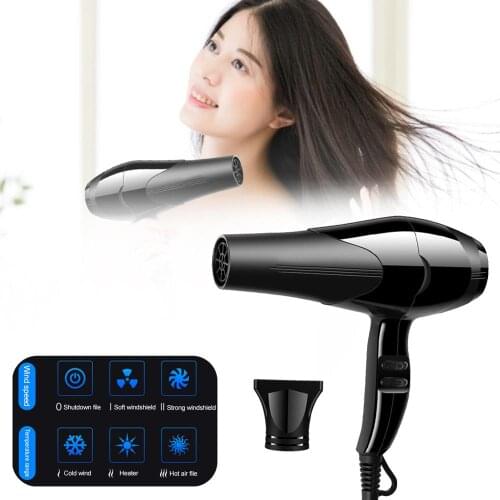 220V Blow Dryer Household High-power 800W Hair Dryer Electric Hair Dryer Household Salon Hairdressing Blow Canister US Plug
