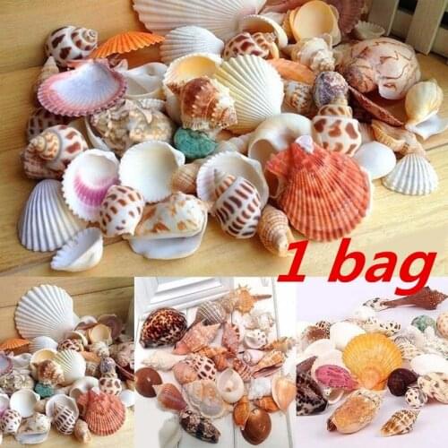 30Pcs/Bag Mix Aquarium Beach Nautical DIY Shells Mixed Bulk Approx 100g Sea Shell