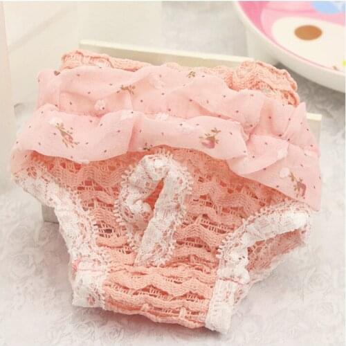 10PCS Summer Pet Dog Physiology Hygienic Pants Dog Lace Shorts Cat Underwear Puppy Cute Diaper Lace Edge Pet Trousers