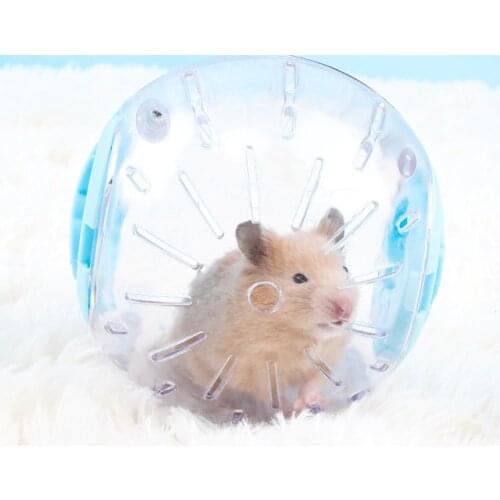 Plastic Outdoor Sport Ball Grounder Rat Small Pet Mice Jogging Ball Toy Hamster Gerbil Exercise Ball Play Toy Small Pet Supplies