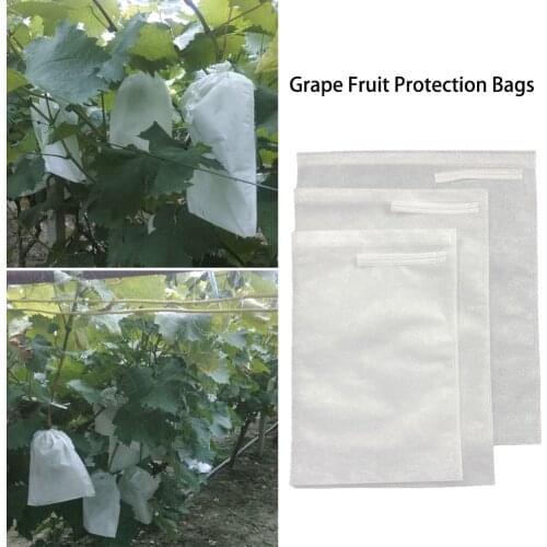 50/100pcs Grape Fruit Protection Bag Anti Bird Drawstring Net Bag Agriculture Pest Control Tool Prevent Fruit Tree