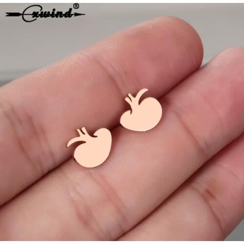 Cxwind Creative Design brincos Geometric Human Kidney Stud Earrings For Women Doctor Charm Ear Stainless Steel Jewelry Oorbellen