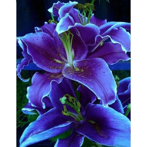 5D Diamond Painting"purple Lily Flower"Diamond Embroidery Flower Cross Stitch 5D Rhinestone Mosaic Kits Wedding decor Gifts P812
