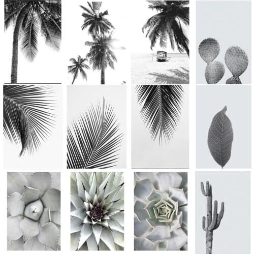 Black And White Landscape Beach Palm Trees Decoration Nordica Home Garden Poster Bedroom Decoration Pictures Canvas Painting