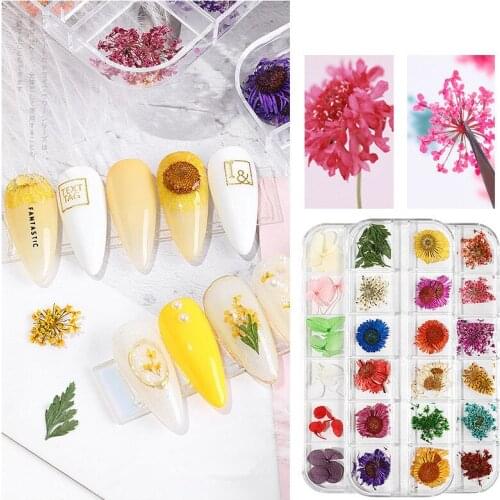 1 Box of 12 Colors Dried Flower Nail Decoration 3D Natural Daisy Gypsophila Fresh Dried Flower DIY Sticker Nail Art Accessories