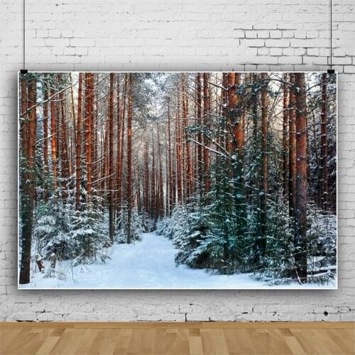 Winter Backdrops For Photography Forest Tree Snow Shrub Park Natural Scenic View Photographic Backgrounds Photocall Photo Studio