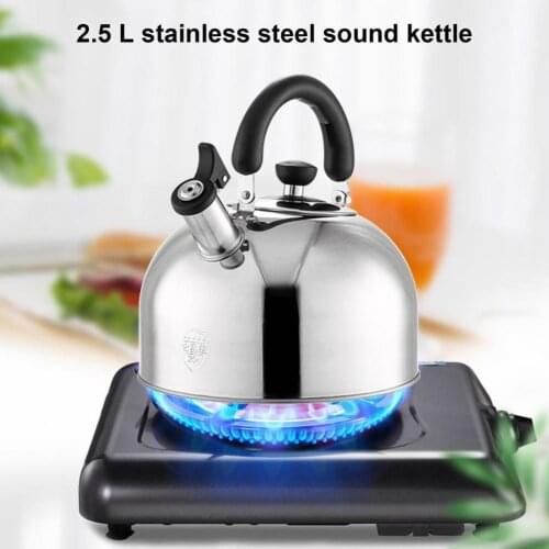2.5L Stainless Steel Hot Water Kettle Pot Durable Large Capacity Anti-Rust Nice-Looking Teapots Whistling Water Pot for Home