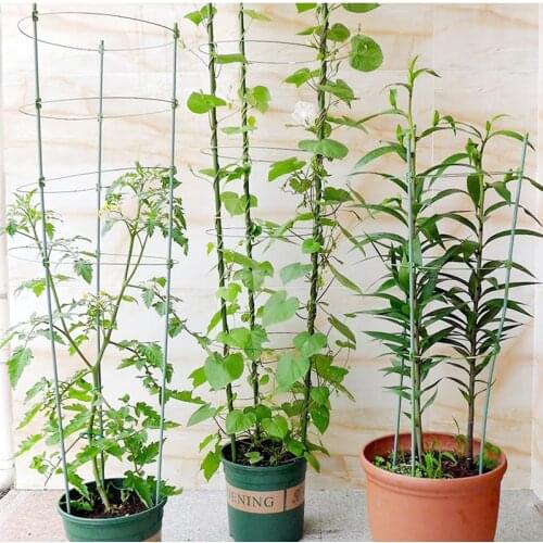 Garden Plant Support Frame Plant Trellis Climbing Garden DIY Flower Decorative Vines Plants Support Pot Stand Plants