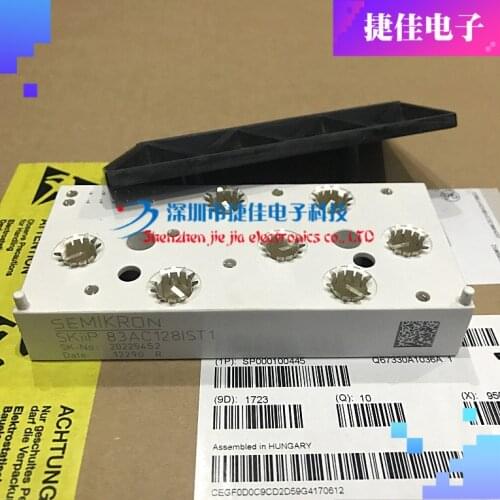 SKIIP83AC12IT1 SKIIP83AC128IT1 SKIIP83AC128IST1 SKIIP83AC12