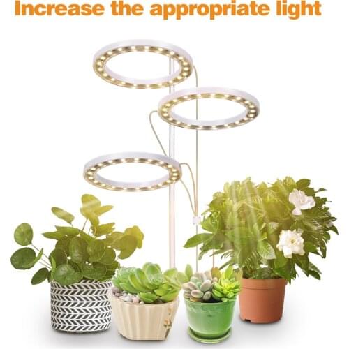 AFDEAL Professional Lighting