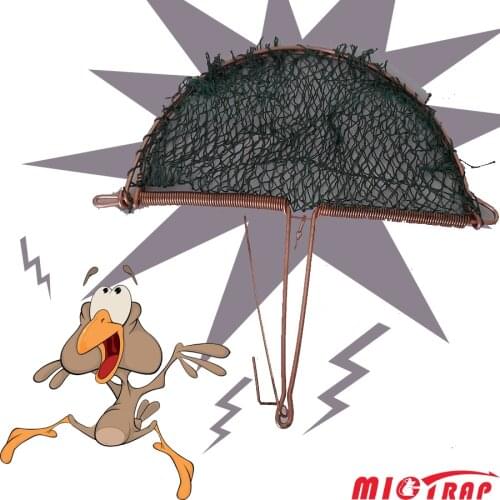 Reusable Metal Polyester Mesh Live Catch Bird Pigeon Sparrow Leg Hold Net Trap Snare