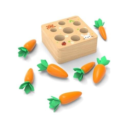 Montessori Materials Shape Matching Kids Toy Baby Wooden Block Set Early Learning Educational Toys for Children Gift